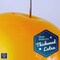 Biodegradable Balloons 12 Inch 100 Pack, Pearlescent Thickened Extra Strong Latex Helium Float(Pearlized Caribbean Blue)